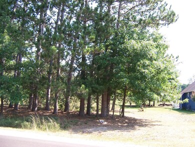 View from Road