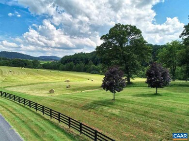 0 Waldemar Dr unit 604767, Charlottesville, VA 22903 - photo 4