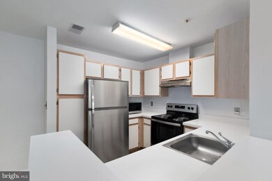 4406 Silverbrook Ln unit J302, Owings Mills, MD 21117 - photo 4