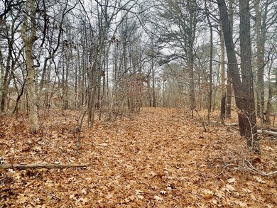 0 Paula Ave, Tisbury, MA 02568 - photo 2