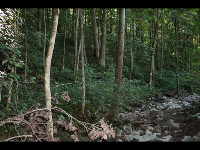 74.45 AC Macedonia Rd, Cookeville, TN 38506 - photo 7