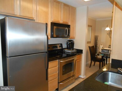 15572 Horseshoe Ln unit 572, Woodbridge, VA 22191 - photo 5