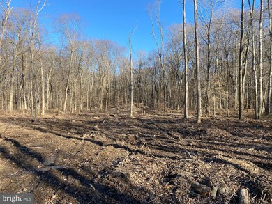 0 Pomona Rd unit MDKE2001116, Chestertown, MD 21620 - photo 5