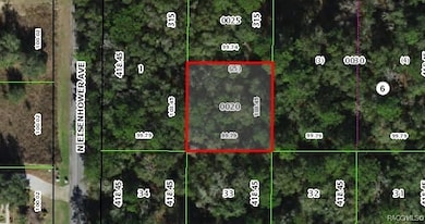 1012 & 1030 E Mckinley St, Hernando, FL 34442 - photo 7