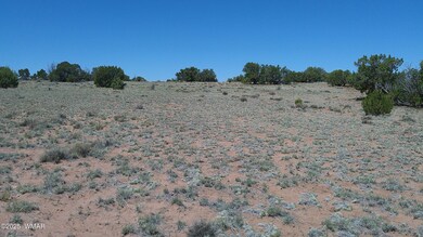0 Rio Ranch, Concho, AZ 85924 - photo 7