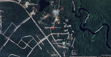 346 W Whitmarsh Ct, Dunnellon, FL 34434 - photo 3