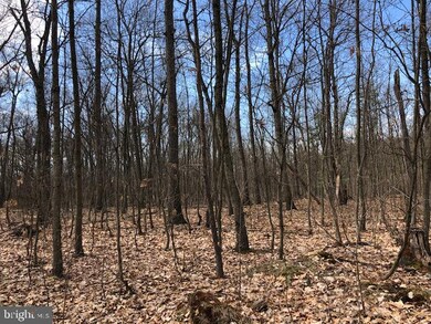 0 Means Hollow Rd unit PACB122764, Shippensburg, PA 17257 - photo 6