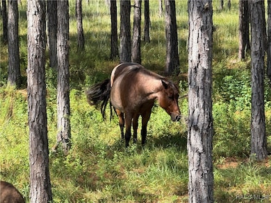 8250 W Fairoak Ct, Crystal River, FL 34428 - photo 7