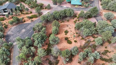 1061 Fox Hat Trail, Pine, AZ 85544 - photo 7