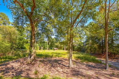 2423 Hickory Hollow Ln, Spring, TX 77386 - photo 4