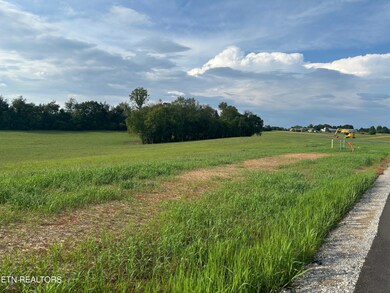 IMG_1706
