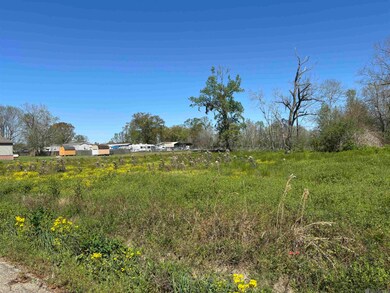 0 Don Lou Rd unit 2025005042, Gonzales, LA 70737 - photo 3