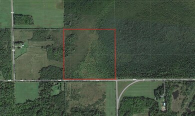 XXXX Saint Louis Co 991, Meadowlands Township, MN 55765 - photo 6