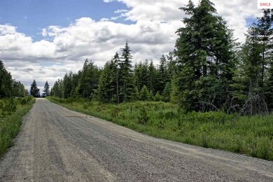 Lot B7 Northern Sky Rd, Athol, ID 83801 - photo 6