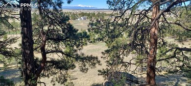 Bluff looking west