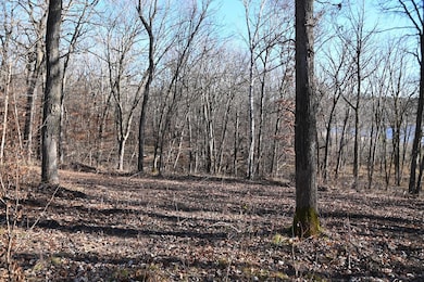 TBD Ottawa Dr, Browerville, MN 56438 - photo 4