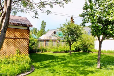 Vibrant green lawn