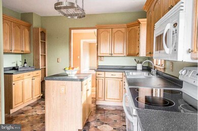 117 Amwell Rd, Flemington, NJ 08822 - photo 4