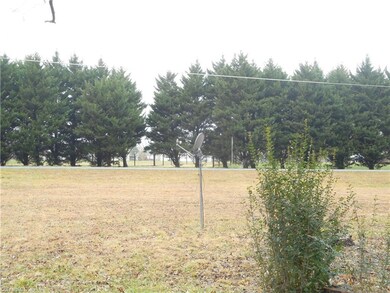 View of the front yard from the porch.
