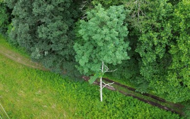 Additional View