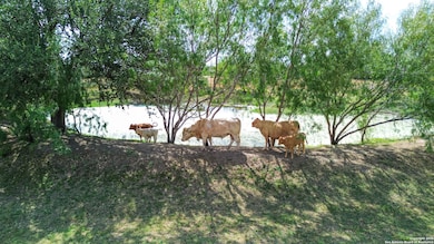 16587 S Loop 1604 W, von Ormy, TX 78073 - photo 4