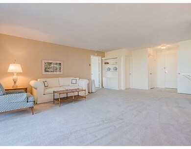 Imperial Towers unit 612, Chestnut Hill, MA 02467 - photo 7