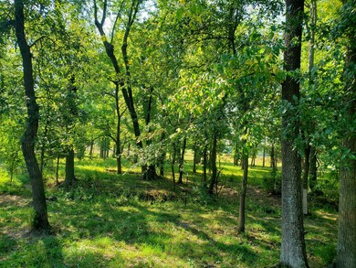 woods