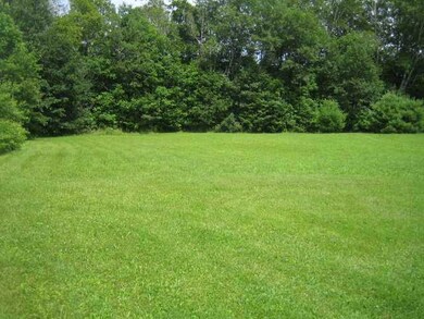 Yard/Garden.