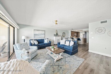REEF LR DR VIEW INSIDE