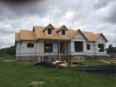 310 Honeysuckle Ln, Shelbyville, TN 37160 - photo 7