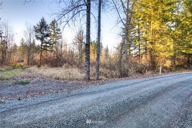 unlisted-address, Roy, WA 98580 - photo 2