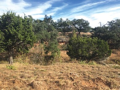 306 Oakview Ct unit 306, Fredericksburg, TX 78624 - photo 5