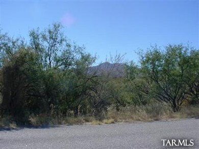 3641 E Sahuarita Rd unit 14, Vail, AZ 85641 - photo 2