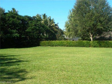 Expansive back yard