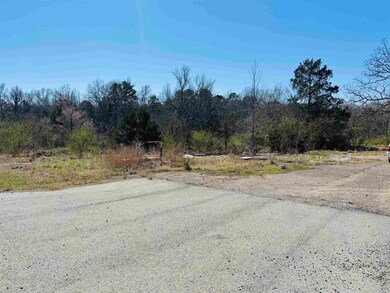 868 Highway 5, Calico Rock, AR 72519 - photo 7