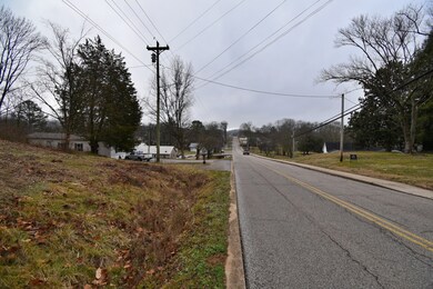 252 S Mill St, Linden, TN 37096 - photo 6