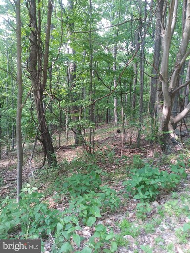 60 High Mountain View Rd, Three Chrs, WV 26757 - photo 5