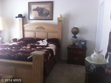 461 Washout Ln, Winchester, VA 22603 - photo 5