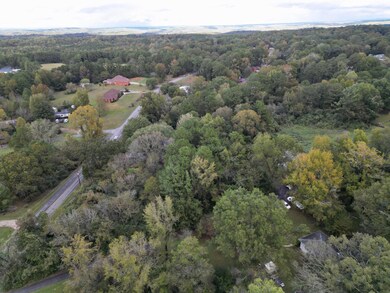 3013 Crestlane Dr, Adamsville, AL 35005 - photo 2