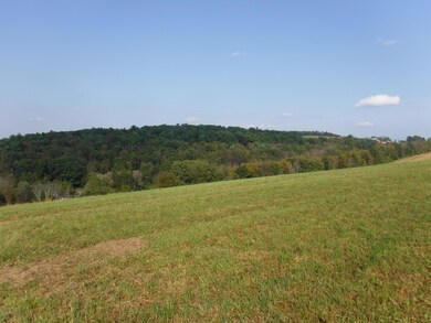 348 Mount Zion Hill Rd, Penn Township, PA 17737 - photo 5