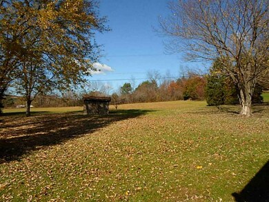 Yard/Garden.