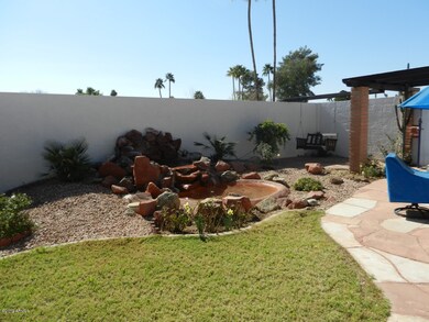 Backyard 2