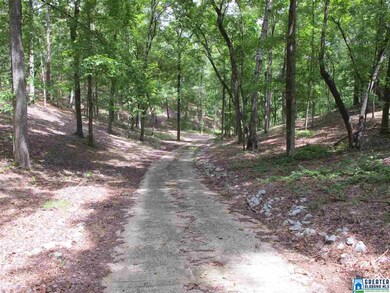 0 County Road 3292 unit 4 827712, Wedowee, AL 36278 - photo 5