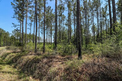 7.29 Acres Homestead Rd, Lucedale, MS 39452 - photo 4