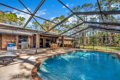 Patio & Pool