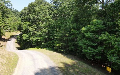 Additional View