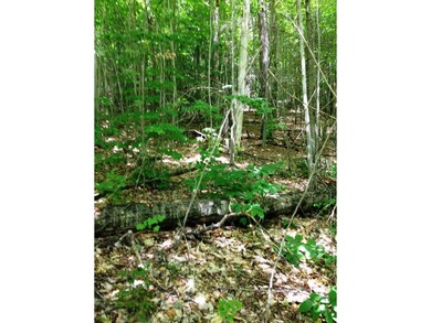 0 Miller Rd, Dalton, NH 03598 - photo 4