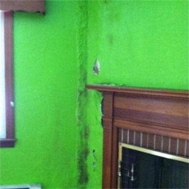 15 Prew Ave, Holyoke, MA 01040 - photo 7