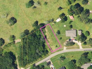 0 Oak Bend Dr, Alvin, TX 77511 - photo 2