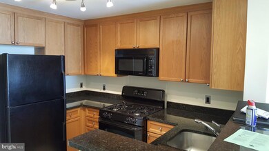 The Crescent unit 1411, Silver Spring, MD 20910 - photo 3